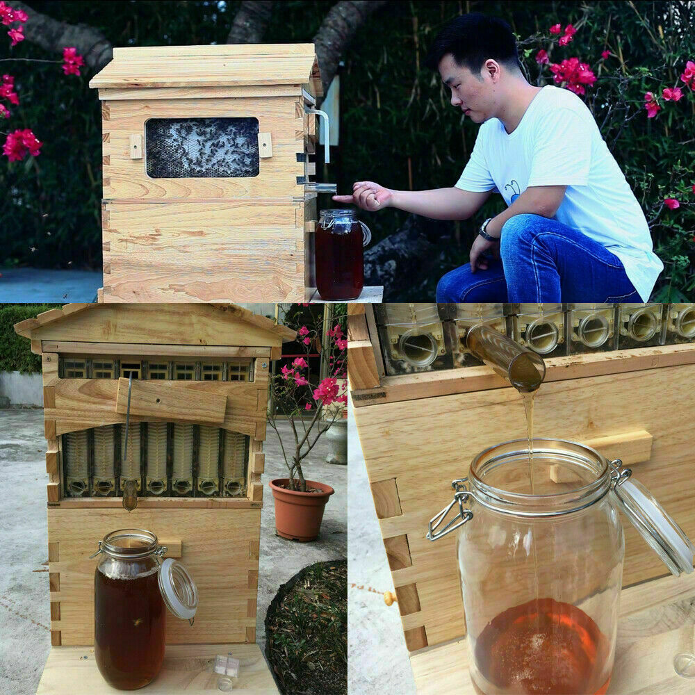 7PCS Upgraded Auto Run Bee Comb Hive Frames Wooden Beekeeping Beehive House 