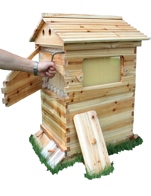 Araucaria Beekeeping Beehive Brood House 7 PCS Auto Bee Comb Hive Frames 2020 