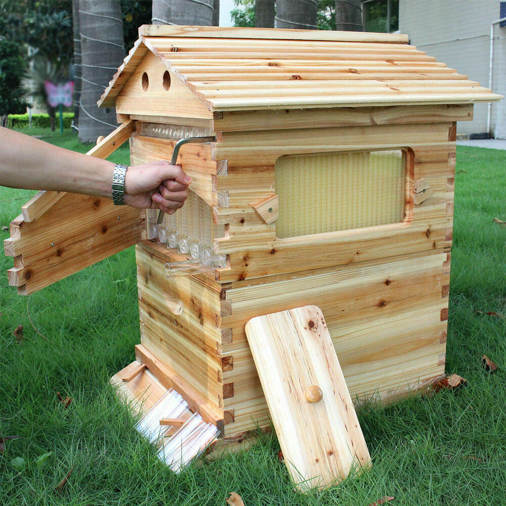 7p Auto Honey Beehive Frames Beekeeping Raw Bee Harvest Hive Frame Food-grade 